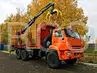 КАМАЗ 43118 сортиментовоз с Велмаш ВМ 10-86 (VM10L86)